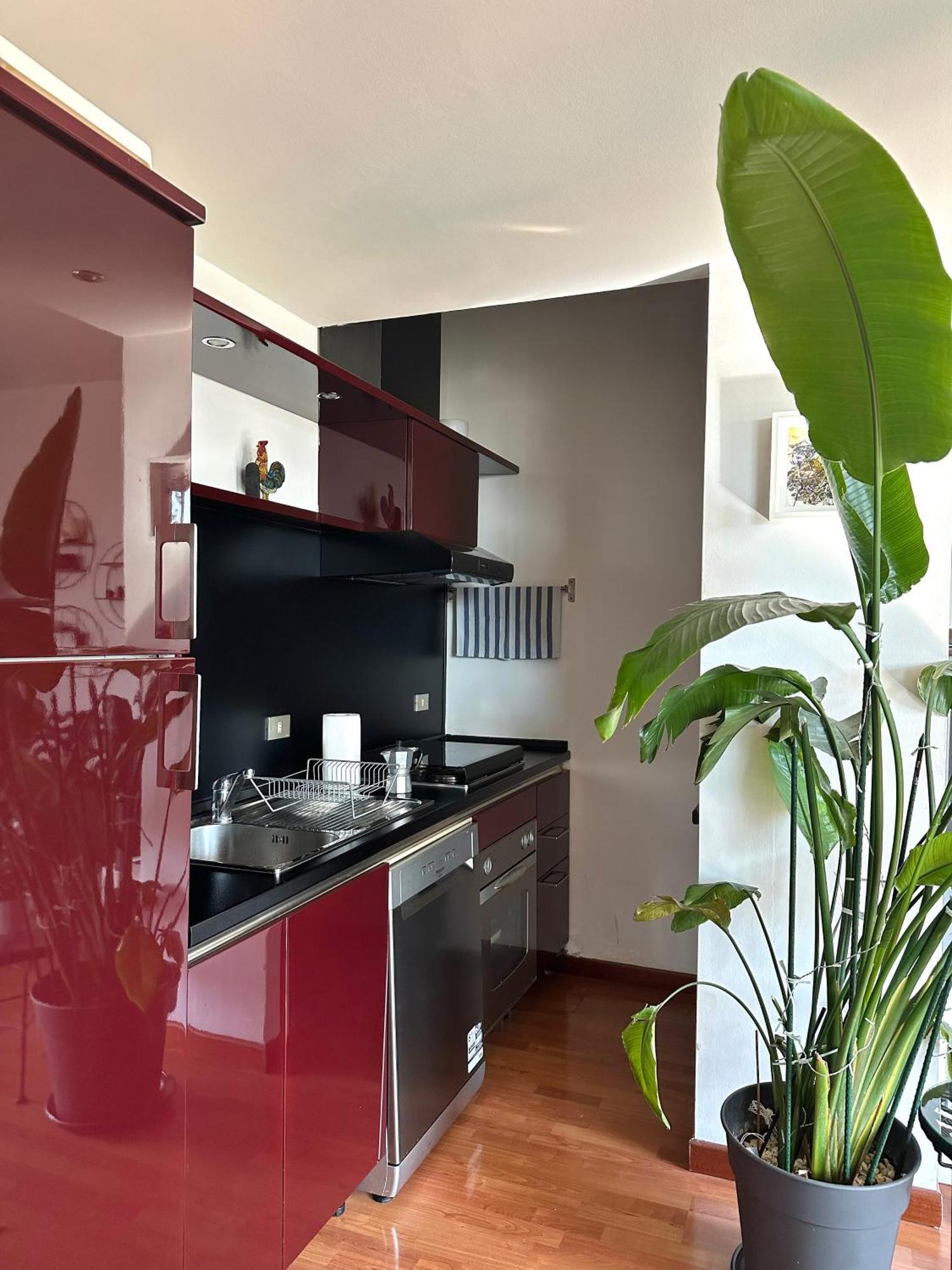 Urban Jungle - Attico Vista Duomo Apartman Milánó Kültér fotó