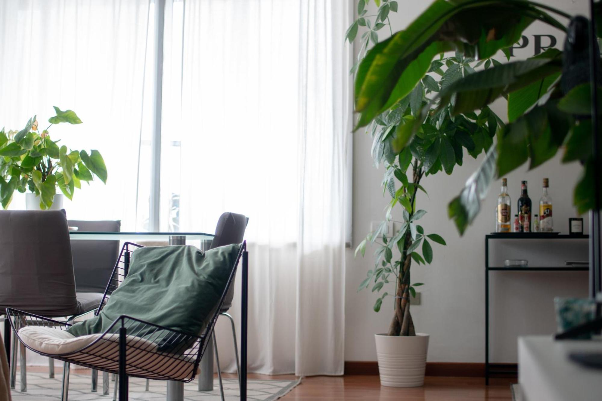 Urban Jungle - Attico Vista Duomo Apartman Milánó Kültér fotó