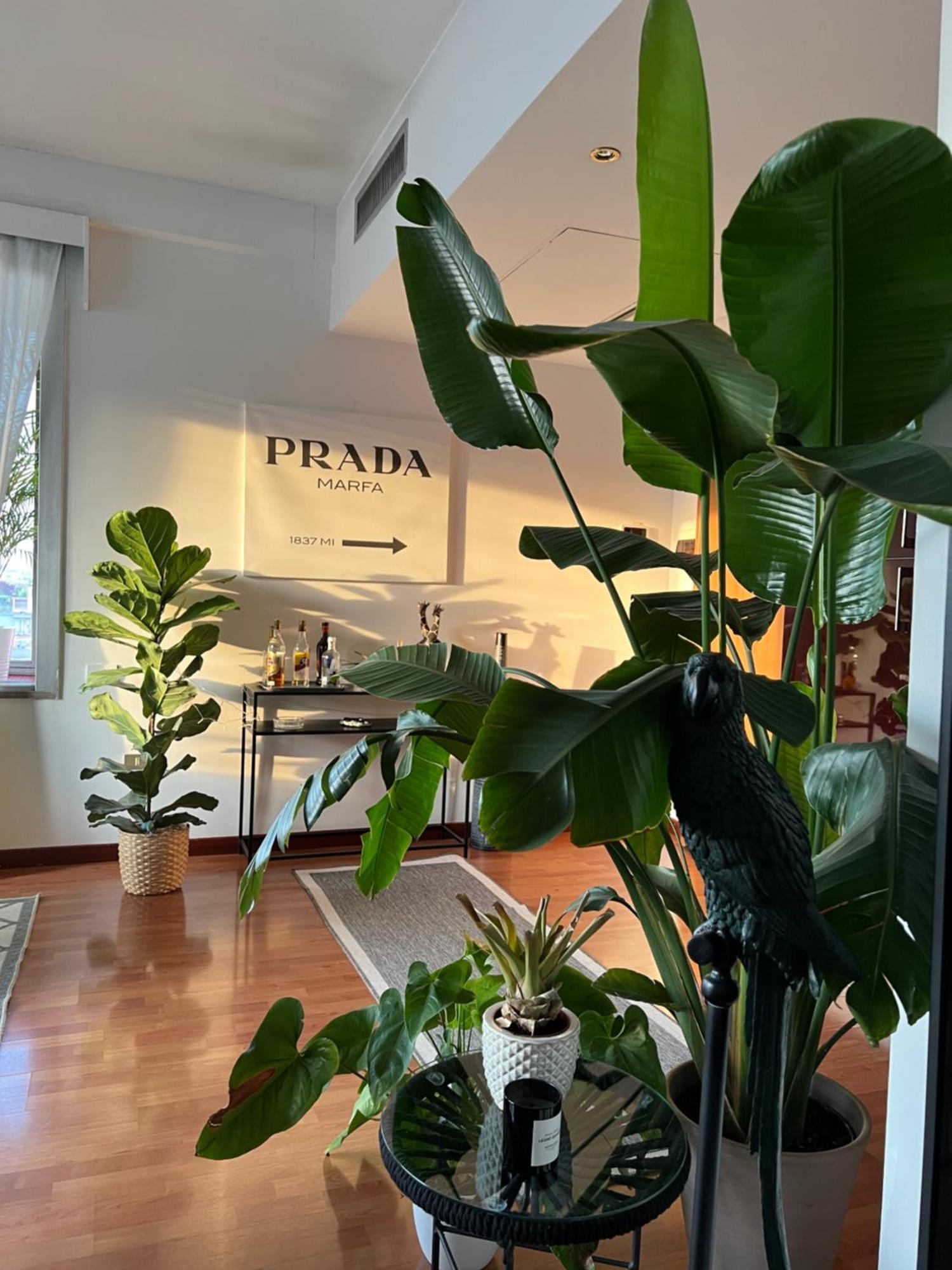 Urban Jungle - Attico Vista Duomo Apartman Milánó Kültér fotó